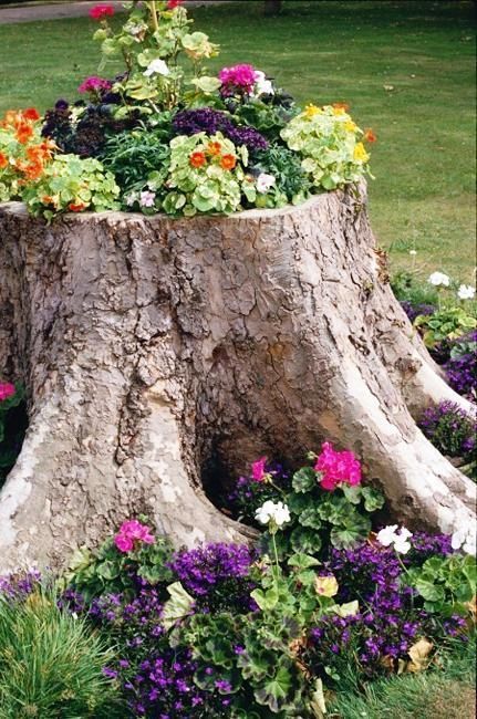 recycling tree-stump for planter and decorating with flowers. A great way to turn an eyesore into a centerpiece. Tree Stump Planter, Tree Stumps, Flowers Growing, Upcycle Garden, Real Estat, Yard Decorations, Have Inspiration, The Secret Garden, Tree Stump