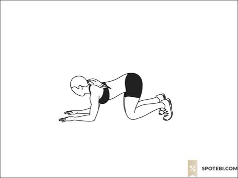 Press Ups Exercise, Exercise Gif, Fitness Gif, Press Ups, Calories Burned, Donkey Kicks, Workout Chart, Circuit Training, Workout Guide