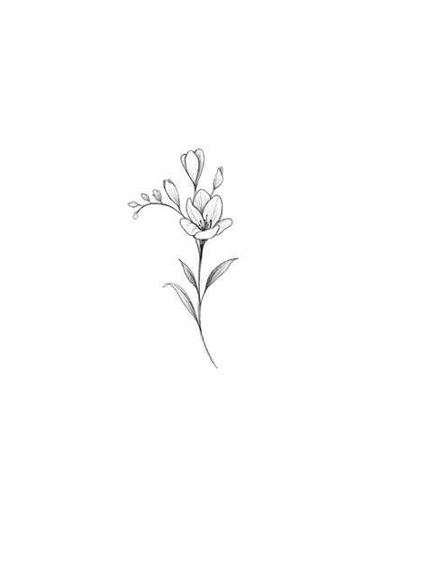 Small Freesia Tattoo, Dainty Lilly Tattoo, Freesias Flower Tattoo, Tiny Gladiolus Tattoo, Cute Lily Tattoos, Small Line Work Flower Tattoo, Gladiolus Flower Tattoo Fine Line, White Violet Tattoo, Freesia Flower Tattoo Design