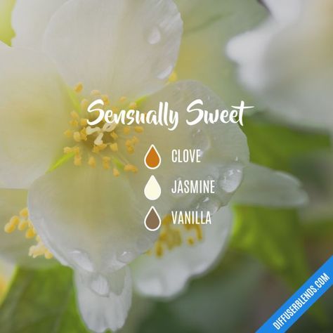 Sensually Sweet - Essential Oil Diffuser Blend Essential Oil Perfume Blends, Essential Oil Perfumes Recipes, Eo Blends, Essential Oil Combinations, Essential Oil Diffuser Blends Recipes, Jasmine Essential Oil, Magia Das Ervas, Essential Oils Guide, Essential Oil Diffuser Recipes