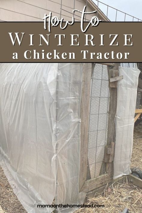 Winter Prep For Chickens, Diy Winter Chicken Coop, Winter Proof Chicken Run, Chicken Coop Winterizing, Winter Chicken Run, Winterizing Chicken Run, Insulate Chicken Coop, Winterize Chicken Run, How To Winterize Chicken Coop