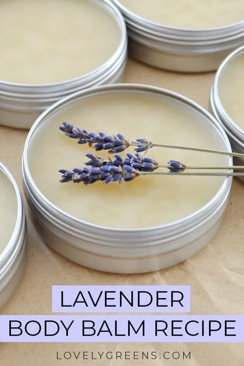 Easy recipe and instructions for making natural lavender body balm. Recipe includes shea butter, beeswax, and pure lavender essential oil #lavenderrecipe #diyskincare #bodybalmrecipe #essentialoilrecipe #beeswaxrecipe #lavenderessentialoil Body Balm Recipe, Herbal Crafts, Lavender Diy, Beeswax Recipes, Calendula Salve, 2023 Products, Infused Honey, Balm Recipe, Lavender Recipes