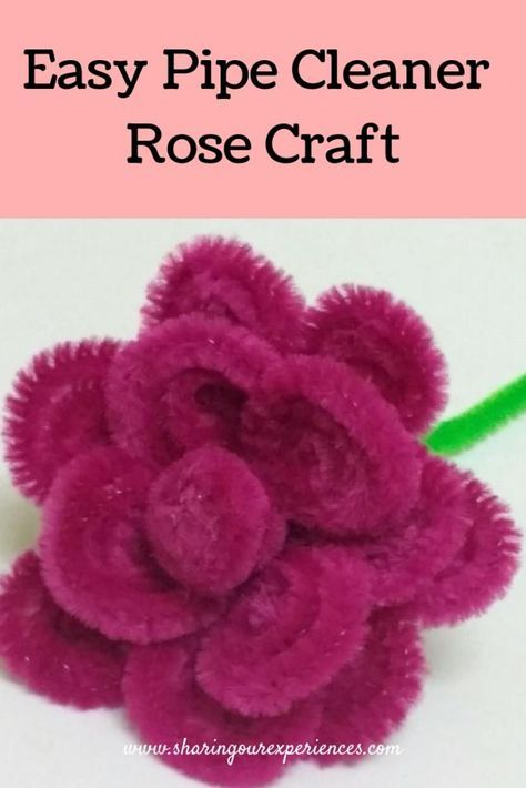 How to make rose with Pipe cleaner| Easy Pipecleaner rose craft - Sharing Our Experiences Pipe Cleaner Roses How To Make, Crafts To Do With Pipe Cleaners, Pipe Cleaner Rose Tutorial, Things To Do With Pipe Cleaners, Pipecleaner Flowers How To Make, Pipe Cleaner Roses, Step By Step Diy Crafts, Beltane Ideas, Pipe Cleaner Flowers Easy