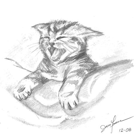 Cat Pencil Drawing Easy, Realistic Cat Sketch, Kittens Sketch, Cat Drawing Pencil, Kitten Sketch, Cats Art Drawing, Kitten Drawing, Cat Sketch, Warrior Cats Art