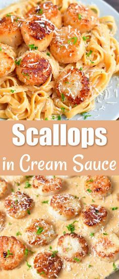 Easy scallop recipe with a rich and creamy Parmesan sauce is served over a bed of pasta. These scallops are seared until there are perfectly cooked with a golden crust and then, cook the sauce in the same pan and toss it with your favorite pasta. Scallop Recipes Pasta, Shrimp And Scallop Recipes, Easy Scallop Recipes, Scallop Recipe, Scallop Pasta, Creamy Parmesan Sauce, Coquille Saint Jacques, Parmesan Sauce, Creamy Parmesan