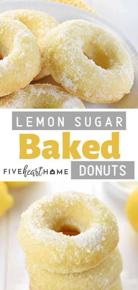 These are the perfect fall or holiday treat for your parties!These Lemon Sugar Baked Donuts are light, citrusy, and generously coated in a crunchy, lemon-zest infused sugar. They are the perfect breakfast or dessert treat for your dinner parties! Infused Sugar, Homemade Donuts Recipe, Baked Doughnuts, Baked Donut Recipes, Low Carb Snack, Lemon Dessert Recipes, Slow Cooker Desserts, Lemon Sugar, Homemade Donuts