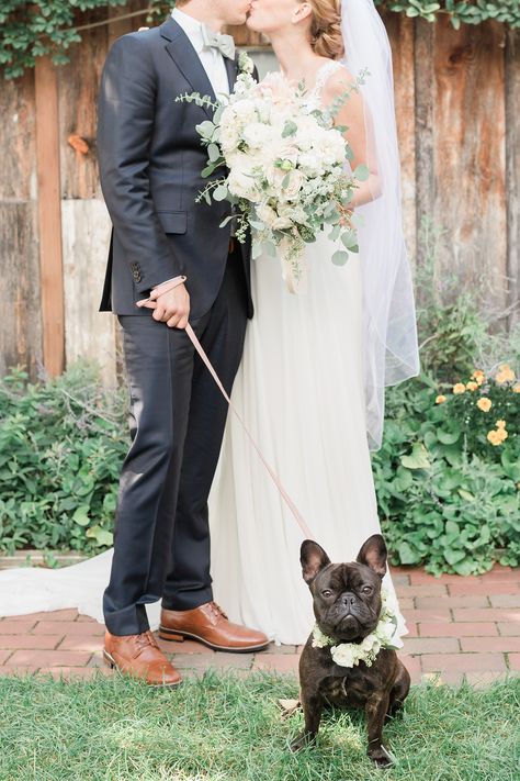 French Bulldog Wedding, Puppy Wedding, Dog Wedding Outfits, Pastel Garden, Garden Inspired Wedding, Leesburg Virginia, Bulldog Francese, Photos With Dog, Wedding Pets