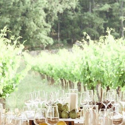 Liz Linkleter Events on Instagram: "The Friday night welcome party for Leah & Milo up in the vineyards at @chateaulacoste, Provence. ⁠
⁠
Tables were dressed with piles of beautiful local market fruit and vegetables by @wormlondon and the design was rustic, but with an element of refinement. Guests were treated to an incredible barbecue buffet, with everything piled high, followed by huge tarte tatins for dessert. After dinner, guests danced to a local gypsy jazz band, before heading back to Villa La Coste's bar until late." Jazz Band, Welcome To The Party, Floral Garden, The Incredibles, Floral, Instagram