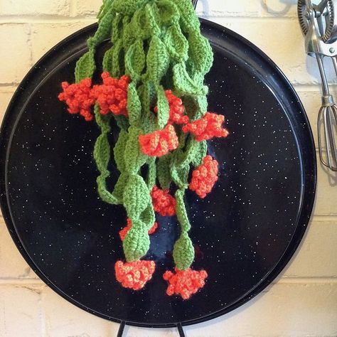 Crochet Cactus Free Pattern, Plants Crochet, Crochet Plants, Diy Rugs, Crochet Poppy, Crochet Succulent, Crochet Plant Hanger, Crochet Garden, Crochet Baby Cocoon