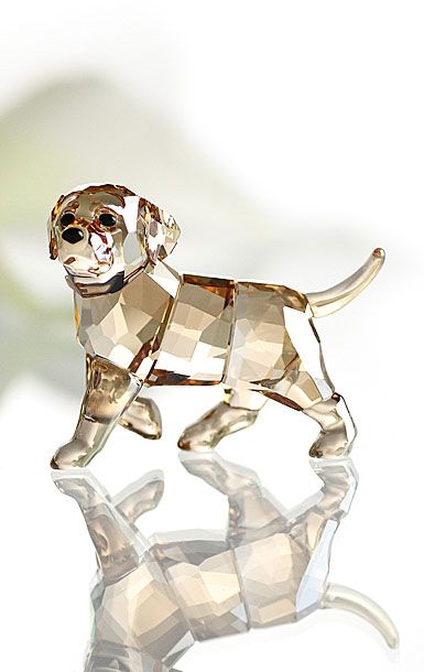 Swarovski Golden Retriever Swarovski Figurines, Scottish Terrier Puppy, Swarovski Ornaments, Favor Table, Swarovski Crystal Figurines, Stitch Clothes, Contemporary Glass Art, Amber Crystal, Crystal Figurines