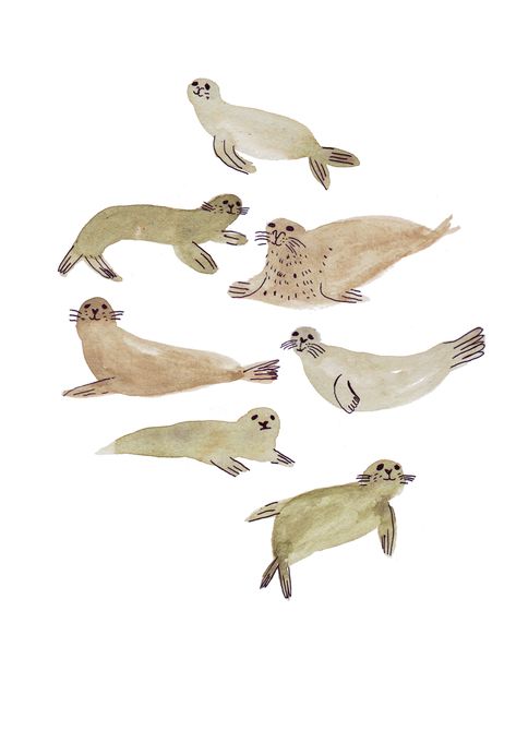 Some characters waiting a story on Behance Watercolour Animals Simple, Seal Watercolor, Seal Wallpaper, Art Et Illustration, Sea Lion, Art And Illustration, Malbec, Tasmania, Art Plastique