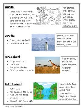 Animal Habitats Different Habitats Of Animals, Animal Habitats Kindergarten, Teaching Habitats, Animal Habitats Preschool, Habitat Activities, Grassland Habitat, Habitats Projects, Animal Habitat, Animal Lessons