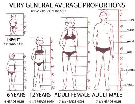 Proportions for drawing people Proportion Sketching, Proportions Drawing, Body Proportion Drawing, Human Body Proportions, Head Proportions, Drawing Body Proportions, Drawing Proportions, Mens Body, People Reference