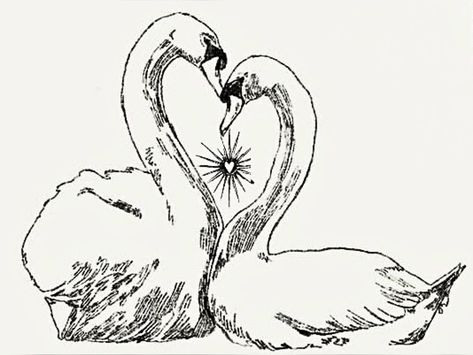 Swan Drawing Sketches, Swan Drawing, Swan Tattoo, Eye Of The Beholder, Girly Tattoos, Dainty Tattoos, Dream Tattoos, Arte Inspo, Elegant Tattoos