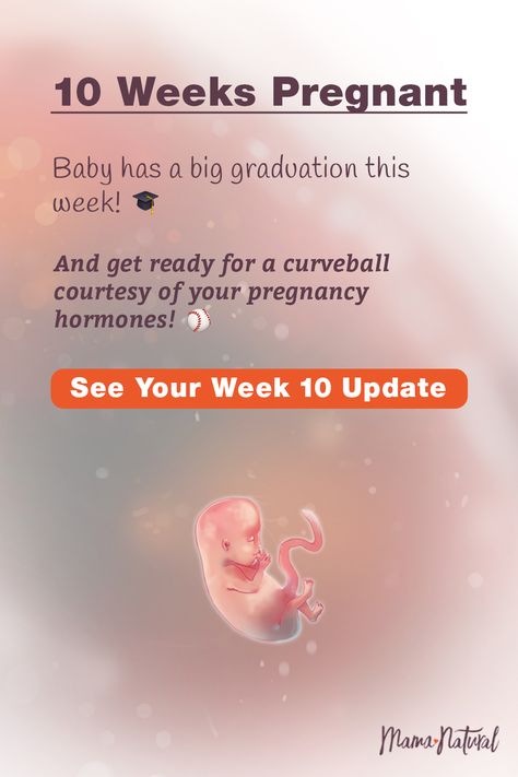 See what's up with baby, mama, and more when you're 10 weeks pregnant. The ultimate week by week natural pregnancy guide! Learn everything from pregnancy symptoms, development, learn to track your baby's growth and natural remedies for a healthy pregnancy. Click to find a complete timeline from the first trimester, second trimester, third trimester with tips for mom and baby to prepare them for a natural birth. #naturalpregnancy #pregnancytips Baby At 10 Weeks Pregnant, 10 Weeks Baby Bump, 10 Weeks Pregnant Bump, 9 Week Baby Bump, 11 Weeks Pregnant Ultrasound, 11 Week Baby Bump, Week 10 Pregnancy, 10 Week Pregnancy, 10 Week Baby Bump