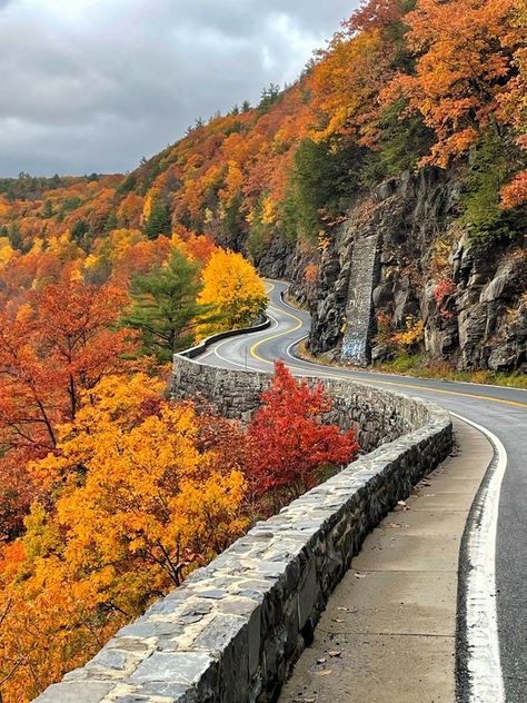 Upstate New York In Pictures | For anyone that likes a good road trip… | Facebook Autumn In Upstate New York, Upstate New York Fall, Waiting For Autumn, New York Autumn, Fall Adventures, Cabin Weekend, Being Patient, Fall Road Trip, Canada Road Trip