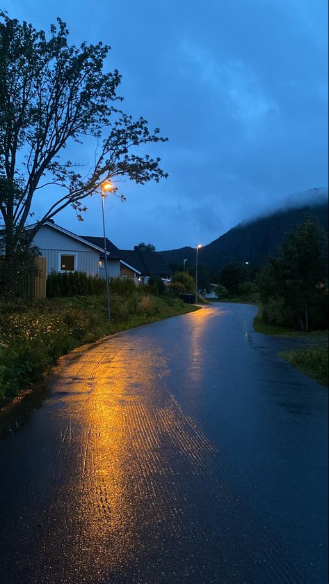 Autumn 23, Summer Afternoon, Rye Bread, Rainy Night, Early Autumn, Late Afternoon, Early Fall, Late Summer, Rye