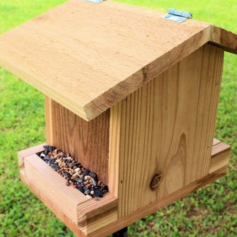 Learn how easy it is to build a bird feeder. #birdfeeder #birds #diy #decor #woodworking #build #make Bird Feeder Plans Easy Diy, Diy Bird Feeder Easy, Birds Diy, Cedar Fence Pickets, Make A Bird Feeder, Bird Feeder Plans, Lumber Rack, Squirrel Feeders, Cedar Planter Box