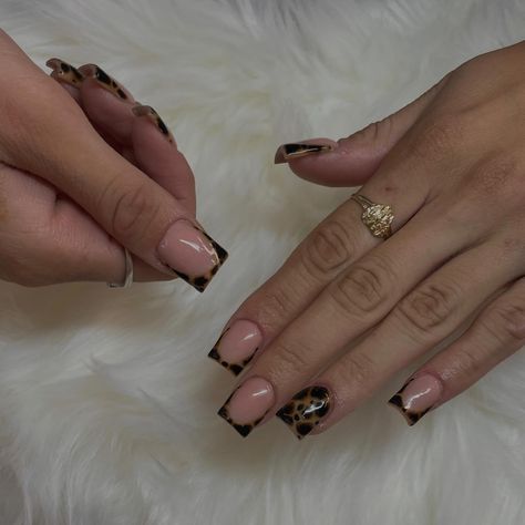 🖤🐆⚜️ - - - get you a nail tech who can do her own nails and still eat on the non dominant 😇😇 - set specifics: • short tapered square • french tip • leopard print acrylic powder: young nails (shade: cover rosebud) - #nails #acrylicnails #frenchtipnails #gelpolish #beginnernailtech #bookwithme #manicure #clovis #559 #fresno #shortnails #gel #explorepage #clovisnailtech #summernails #shortnailideas #leopardprintnails Cheetah Nails Square, Short Leopard Print Nails, Chetta Print French Nails, Black Lepord Print Nails, Leapord French Tip Nails Acrylic, Brown Cheetah Nails, Leopard Tip Acrylic Nails, Short Cheetah Print French Tip Nails, Short Baddie Nail Ideas