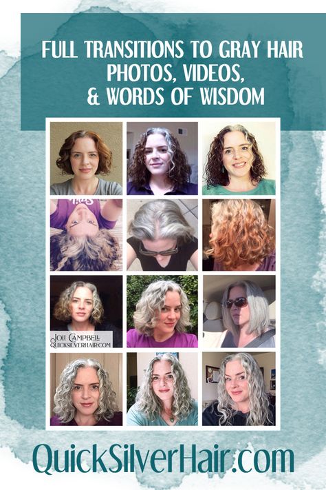 A gorgeous post of Silver Sisters in all their glorious crowns and Words of Wisdom about the process of transitioning to gray hair. Silver Sisters Gray Hair, Jimin Hair Colors, Transitioning To Gray Hair, Silver Hair Color Short, Grey Hair Journey, Silver Hair Highlights, Grey Curly Hair, Silver Sisters, Silver Hair Color