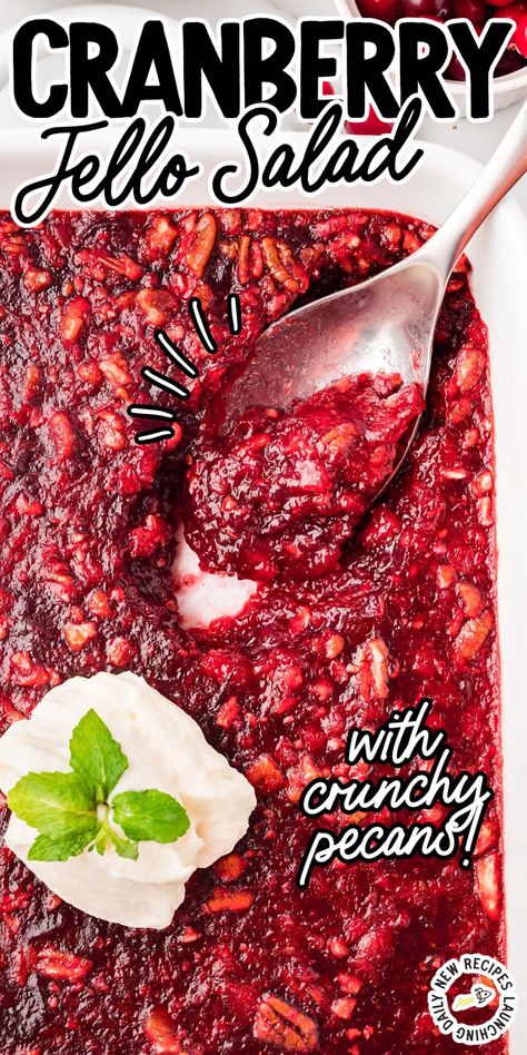 Cranberry Pecan Jello Salad, Congealed Fruit Salad Recipes, Red Jello Salad Recipes, Cranberry Sauce With Jello Recipe, Cranberry Orange Salad Recipes, Cranberry Jello Salad With Cream Cheese, Cranberry Salad Recipes With Jello, Cranberry Jello Salad Recipe, Cranberry Ideas