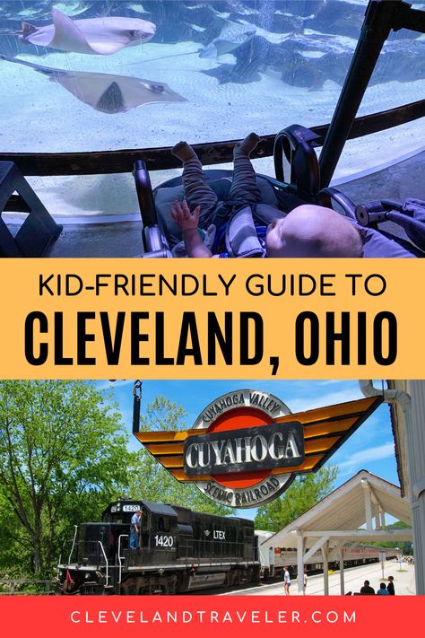 Cleveland Zoo Ohio, Cleveland Ohio With Kids, Things To Do Near Cleveland Ohio, Things To Do In Ohio With Kids, Cleveland Ohio Things To Do In, Things To Do In Cleveland Ohio, Staycation Ideas Family, Ohio Attractions, Cleveland Restaurants