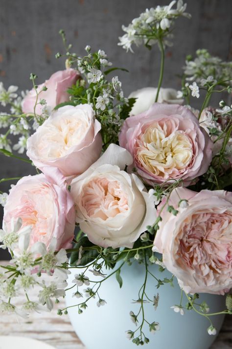 David Austin Wedding Roses, Peonies Flower Arrangement, Orlaya Grandiflora, Flower Esthetics, Pride Photography, David Austin Wedding, Raspberry Ripple Ice Cream, Pale Pink Peonies, Roses And Peonies