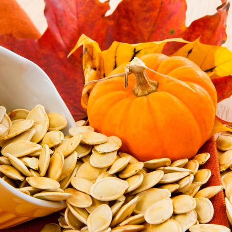 seed Bake Pumpkin Seeds, Hemoglobin Rich Foods, Iron Rich Fruits, Plant Calendar, Pumpkin Seeds Benefits, Fats And Oils, Backyard Garden Patio, Grow Mushrooms, Saving Seeds