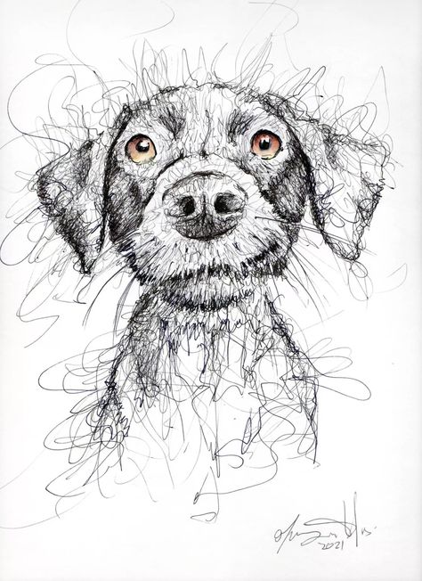 Max Ink drawing by Maurizio Puglisi | Artfinder Pet Drawings, Pet Drawing, Scribble Art, Animals And Birds, Dog Sketch, Pets Drawing, 강아지 그림, Drawing On Paper, Ink Watercolor