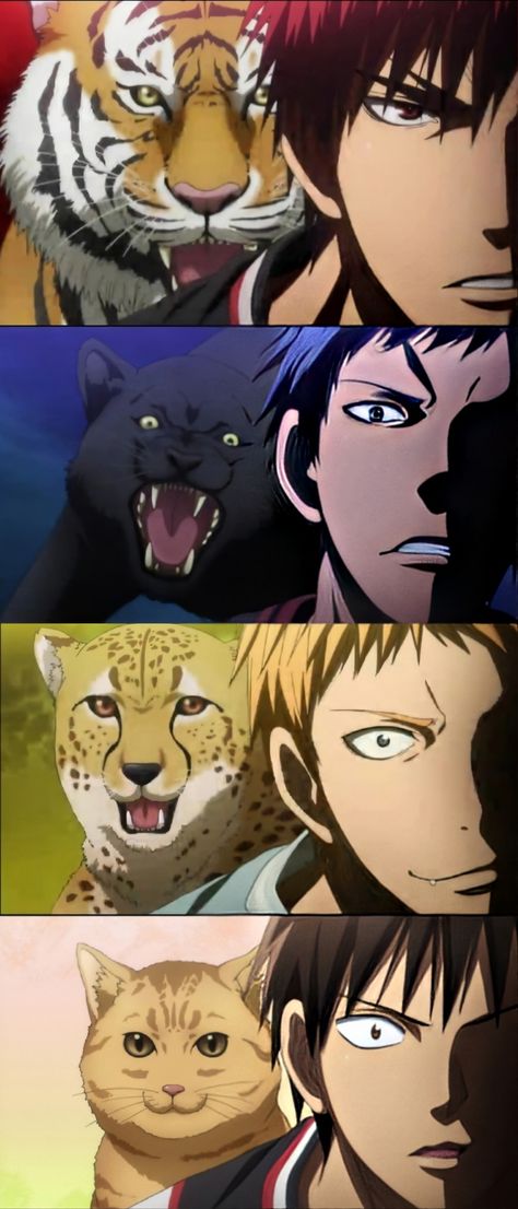 Koganei Shinji, Kuroko No Basket Aomine, Aomine X Kagami, Taiga Kagami, Funny Anime Memes, Aomine Kuroko, Desenhos Love, Kuroko No Basket Characters, Susanoo Naruto