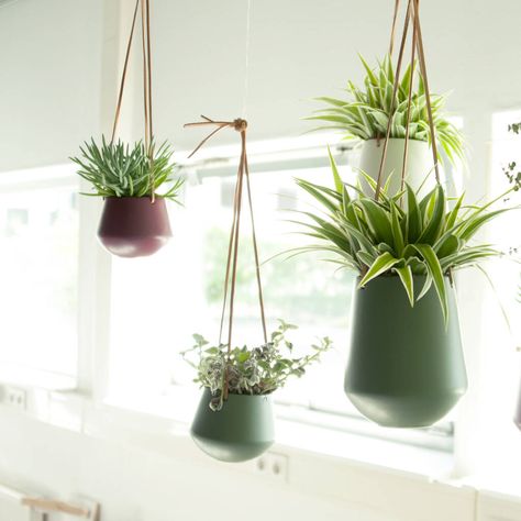 Large Hanging Planters, Small Ceramic Planter, Bungalow Renovation, White Plants, Present Time, Yellow Ceramics, Hanging Plant, Hanging Frames, Pink Ceramic