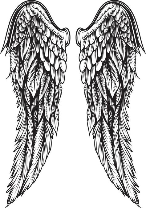 Wings Illustration in tattoo style Wings Back Tattoo Stencil, Back Angel Wings Tattoo For Women, Wings On Hand Tattoo, Angel Wing Back Tattoo, Angel Wing Drawing Tattoo, Back Wing Tattoo, Angel Tattoo Wings, Back Tattoo Wings, Angel Wing Tattoo Designs