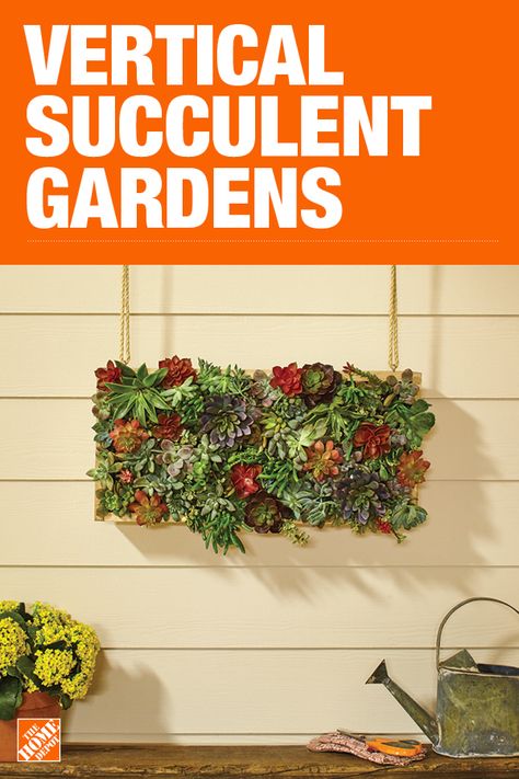 The Home Depot has everything you need for your home improvement projects. Click through to learn more about garden plants and more. Succulent Wall Planter, Vertical Succulent Gardens, Vertical Garden Planters, Succulent Gardens, Succulent Garden Diy, Hanging Succulents, Succulent Wall, Succulent Garden, Succulent Arrangements