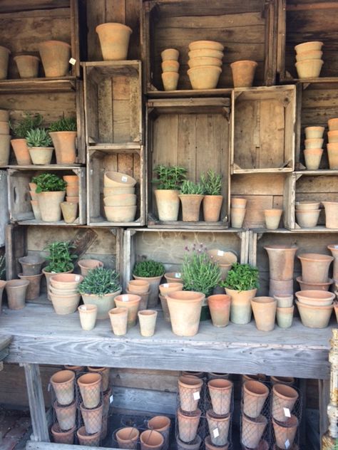 greenhouse / potting bench / she shed inspo seen at Rogers Gardens in Newport Beach, CA. this inspired me to create something similar! Potting Shed Table Ideas, She Shed Work Bench, Gardening Storage Ideas, Potting Shed Decor, Garden Shelf, Gardening Shed, Potting Shed Ideas, Garden Shed Decor, Potting Shed Shelves