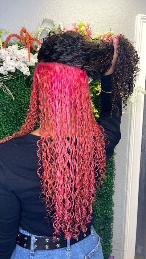 I Color Streaks In Curly Hair, Curly Hair Pink Underneath, Pink Peekaboo Hair Curly, Temporary Hair Dye For Curly Hair, Peekaboo Curly Hair Color, Long Pink Curly Hair, Pink And Black Hair Curly, Peekaboo Dyed Curly Hair, Pink Skunk Stripe Curly Hair