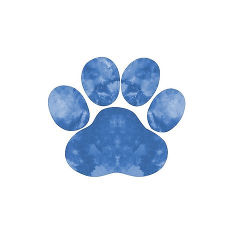 Dog Paw Dog Paw Art, Paw Art, Watercolor Designs, Watercolor Abstract, Dog Paw Print, Have A Nice Day, Dog Paw, Blue Watercolor, Nice Day