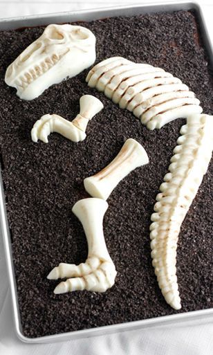 Dinosaur Dig Cake Fossil, Dino Dirt Cake, Dino Bones Cake, Fossil Cake Ideas, Dinosaur Bones Cake, Dinosaur Fossil Cake, Paleontology Party, Sheet Cake Chocolate, Fossil Cake