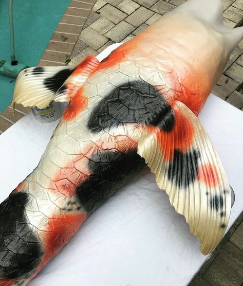 Koi Mermaid Tail, Mermaid Shifting, Merman Oc, Roman Torchwick, Koi Mermaid, Mermaid Oc, Siren Tail, Aesthetic Mermaid, Mermaid Fin