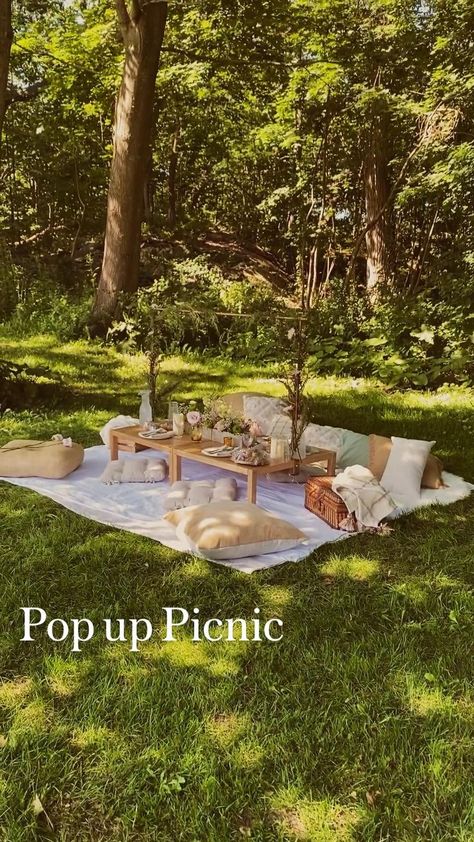 Backyard Picnic Ideas Romantic, Backyard Picnic Bridal Shower Ideas, Pop Up Tent Picnic, Picnic Wedding Aesthetic, Ladies Picnic Ideas, Outside Picnic Ideas, Birthday Picnic Ideas For Adults, Boujee Picnic, Cute Picnic Setup