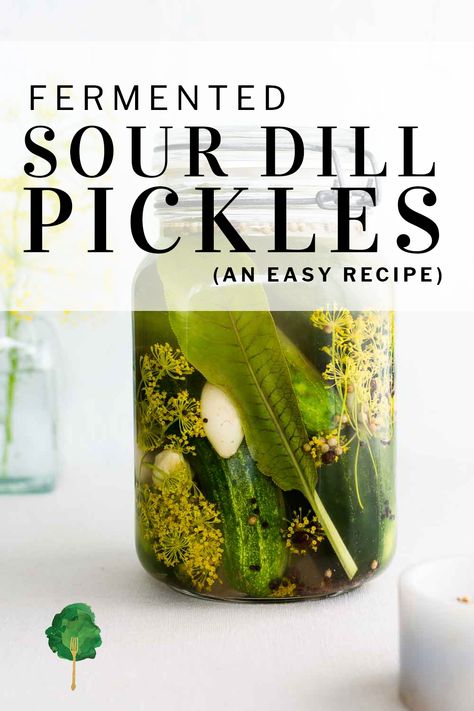 Pickling Spices, Homemade Ingredients, Sour Pickles, Coriander Seed, Fermented Pickles, Pickle Recipe, Pickling Spice, Fermentation Recipes, Fermented Vegetables