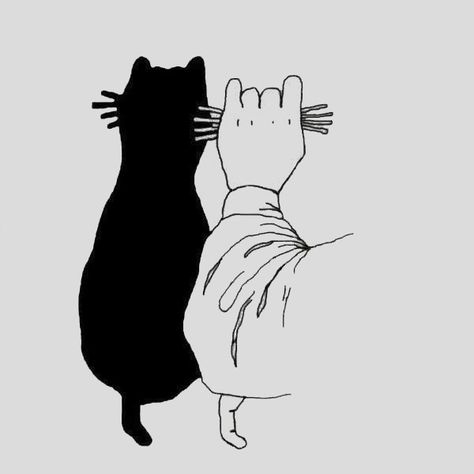 Shadows with your hands (easy and advanced) - Tips de Madre Hand Shadow Puppets, Xmas Embroidery, Cat Shadow, Hand Shadows, Shadow Theatre, Crafts Cute, Cat Images, Megumi Fushiguro, Shadow Art