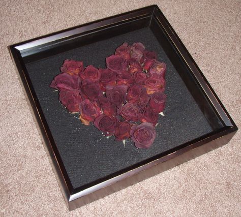 Heart shaped dried roses in shadow box! Great way to preserve those flowers from a special someone! Rose Ideas, Dried Roses, Boyfriend Ideas, Pinterest Projects, Awesome Hair, Love Never Fails, Because I Love You, Craft Corner, Gone But Not Forgotten