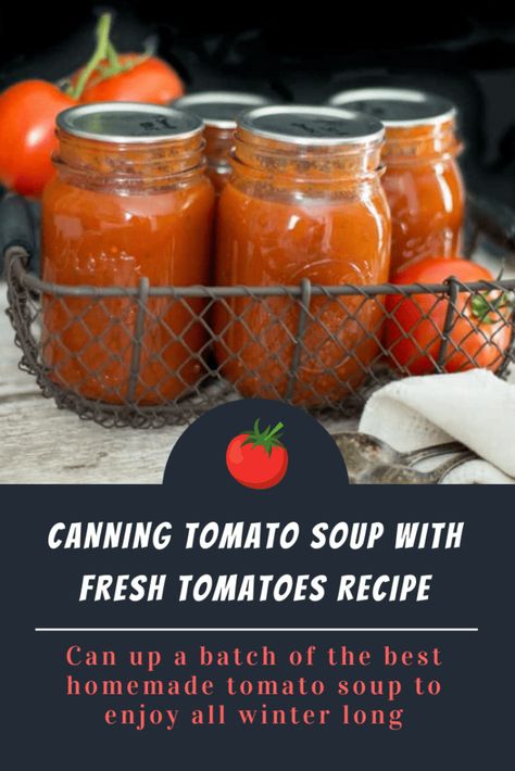 Tomato Soup From Fresh Tomatoes, Canning Tomato Soup, Soup Recipes Homemade, Tomato Soup With Fresh Tomatoes, Pressure Canning Meat, Canning Soup Recipes, Easy Tomato Soup Recipe, Canning Tomatoes Recipes, Homemade Tomato Soup Recipe