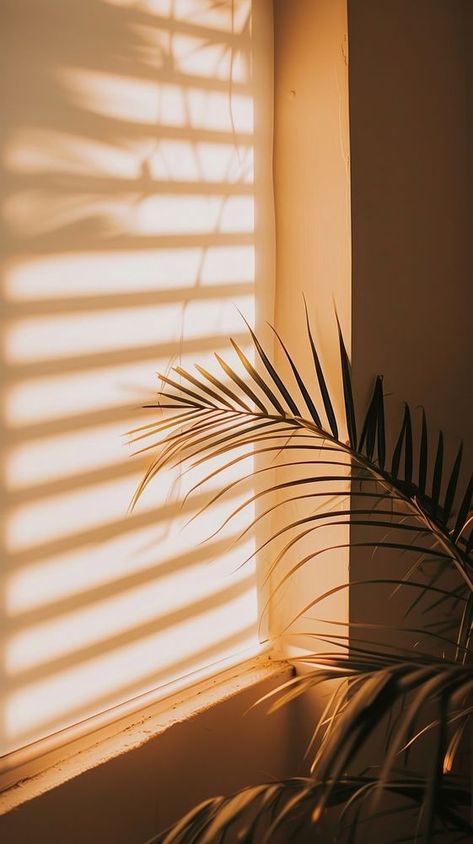 Sunlight Shadow Photography, Sun Blinds Effect, Light Window Aesthetic, Iphone Sunset Wallpaper, Iphone Wallpaper Dark, Window Shadow, Wallpaper Sun, Sun Blinds, Sun Shadow