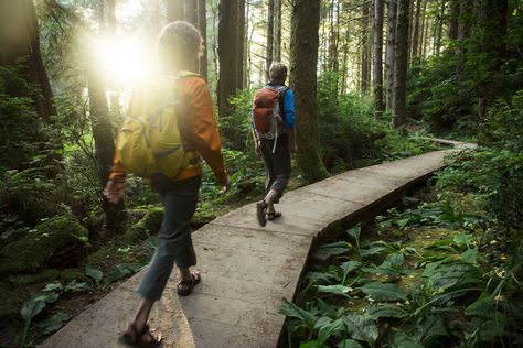 Why walking is the most underrated form of exercise Health Benefits Of Walking, Walking Workout, Canyon Ranch, Walking Meditation, Benefits Of Walking, Shenandoah National Park, Redwood Forest, Walk In The Woods, Hiking Trip