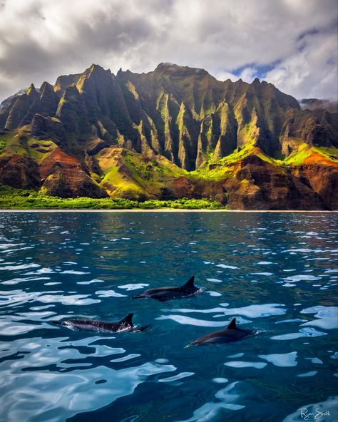 Hawaiian Mountains, Hawaiian Nature, Napali Coast Kauai, Poses Pictures, Atmospheric Perspective, Hawaii Landscape, View Mountain, Kauai Vacation, Napali Coast