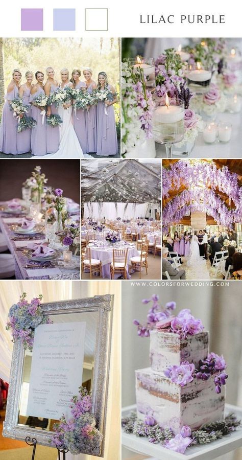 Lilac And Gold Wedding Theme, Lavender And Gold Wedding, Lilac Wedding Themes, Lavender Wedding Theme, Bridal Shower Inspo, Wedding Color Scheme, Gold Wedding Theme, Lilac Wedding, Gold Theme