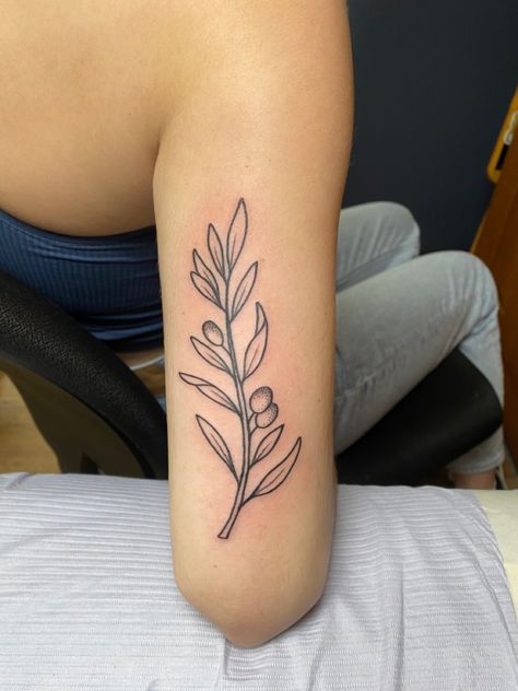 Leafy Branch Tattoo, Olive Branch Tattoo Upper Arm, Abide Tattoo Vines, Tree Tattoo Calf, Olive Tree Tattoo, Spain Tattoo, Olive Tree Tattoos, Sorry Mom Tattoo, Olive Tattoo