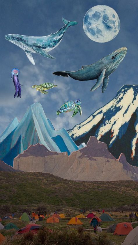 #whales #oceansky #ocean #mountains #sky #moon #camping #surreal #surrealismcollage #surrealism #camping Ocean Sky, Sky Moon, Collage Ideas, A Level Art, Paper Collage, Create Collage, Whales, Creative Play, Your Aesthetic