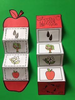 Apple Cycle, Apple Life Cycle Craft, Apple Tree Life Cycle, Apple Crafts Preschool, Life Cycles Preschool, Tree Life Cycle, Preschool Apple Theme, Apple Crafts, Apple Life Cycle